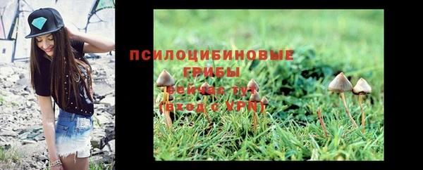 марки lsd Гусев